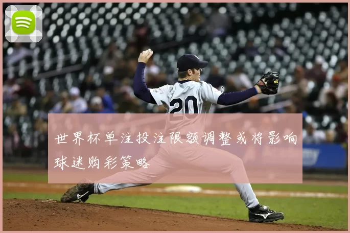 世界杯单注投注限额调整或将影响球迷购彩策略