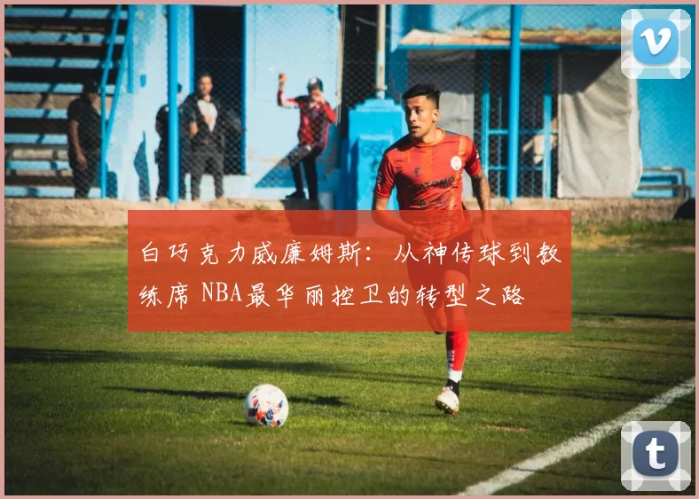 白巧克力威廉姆斯：从神传球到教练席 NBA最华丽控卫的转型之路