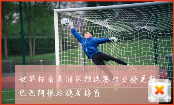 世界杯南美洲区预选赛积分榜更新巴西阿根廷稳居榜首