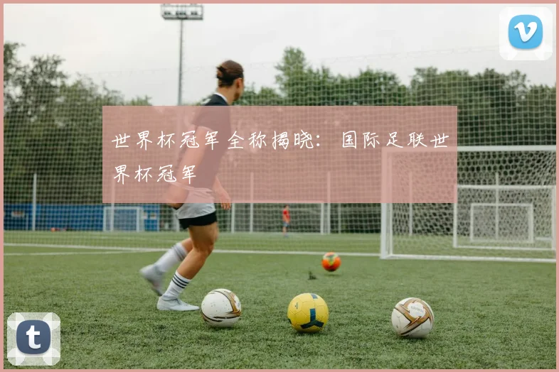 世界杯冠军全称揭晓：国际足联世界杯冠军